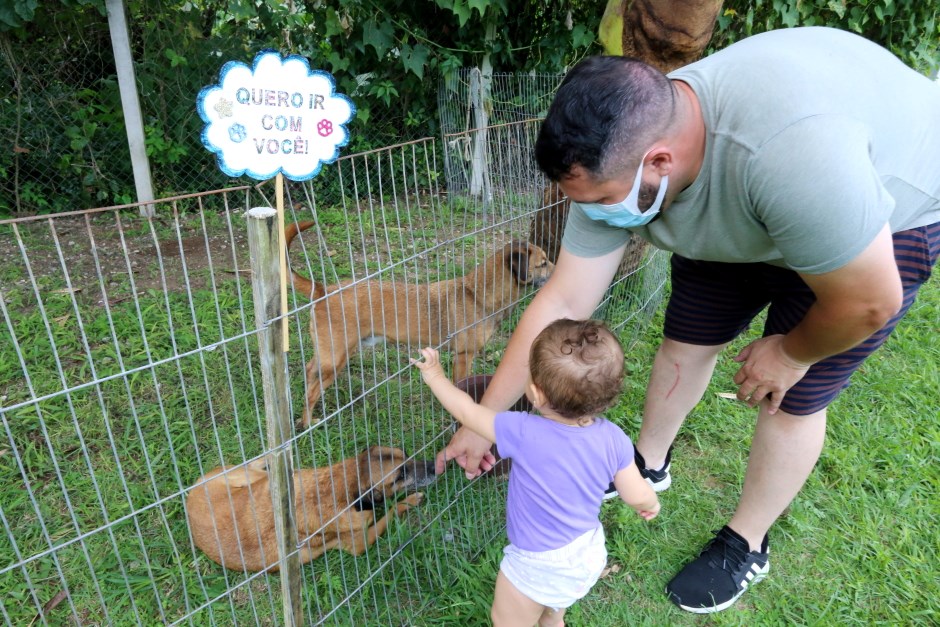 Feira de adoção de pets acontece neste sábado