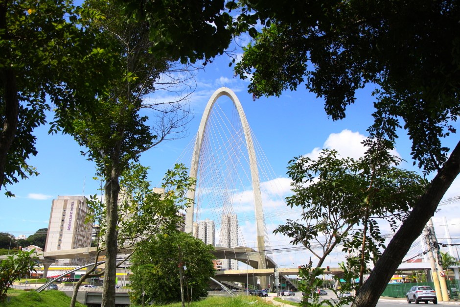 S. José conquista selo internacional por excelência na arborização